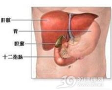 十二指肠损伤