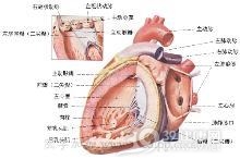 三房心