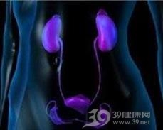 肾髓质坏死