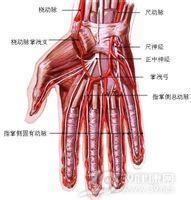 手掌深部间隙感染