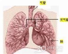 铜绿色假单胞菌肺炎