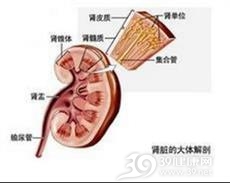 糖尿病肾病