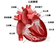 糖尿病心脏病