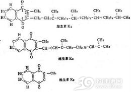维生素K缺乏病