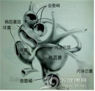 位置性眩晕
