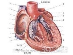 心包囊肿与心包憩室