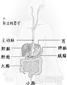 小肠平滑肌肉瘤