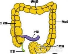 小儿肠套叠
