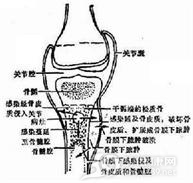 小儿急性血源性骨髓炎