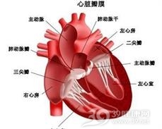 小儿心肌炎