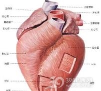 血色病性心肌病
