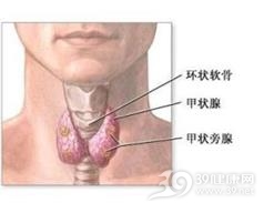 新生儿低镁血症