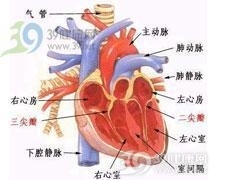 先天性主动脉缩窄