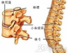 胸、腰椎椎体单纯性、楔形压缩骨折