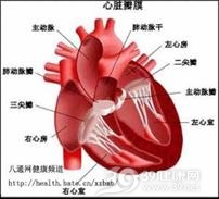 心脏瓣膜病