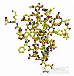 X综合征