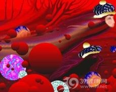 遗传性铁粒幼细胞性贫血