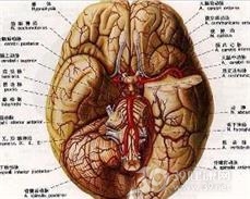 原发性癫痫