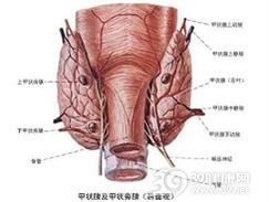 亚急性甲状腺炎