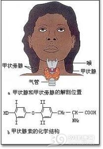 亚临床甲状腺功能减退症