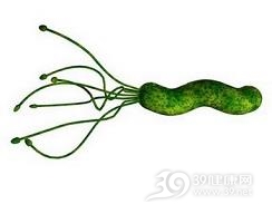 幽门螺杆菌感染