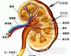 隐匿性肾炎