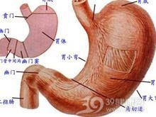 药物性胃病