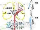 营养缺乏性神经病变