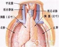 重症肌无力样综合征